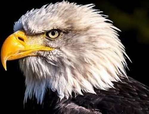 Duell mit Mintard zum Auftakt der Vorbereitung