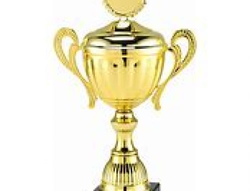 2 Spielabsetzungen und ein Pokalaus  im Verbandspokal